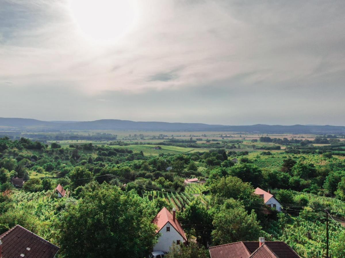 Villa Hillside Vendeghaz A Szent Gyoergy-Hegyen Raposka Exterior foto